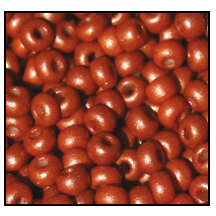 23170- Rusty Copper Matte Pearl Czech Seed Beads
