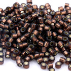 DB150- 11/0 Silver Lined Brown Delica Beads