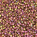 DBV103- 11/0 Gold Luster Red Delica Beads-General Bead
