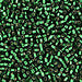 DBV148- 11/0 Silver Lined Christmas Green Delica Beads-General Bead