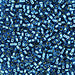 DBV149- 11/0 Silver Lined Dark Aqua Delica Beads-General Bead