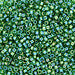 DBV152- 11/0 Transparent Green Aurora Borealis Delica Beads-General Bead