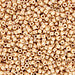 DBV205- 11/0 Ceylon Beige Delica Beads-General Bead
