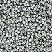 DBV251- 11/0 Galvanized Grey Luster Delica Beads-General Bead