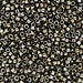 DBV254- 11/0 Galvanized Tarnished Silver Delica Beads-General Bead