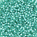 DBV627- 11/0 Silver Lined Pale Mint Delica Beads-General Bead