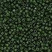 DBV663- 11/0 Dyed Opaque Forest Green Delica Beads-General Bead