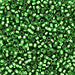 DBV688- 11/0 Semi Matte Silver Lined Kelly Green Delica Beads-General Bead