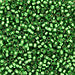DBV688- 11/0 Semi Matte Silver Lined Kelly Green Delica Beads-General Bead