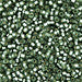 DBV689- 11/0 Semi Matte Silver Lined Light Grey Green Delica Beads-General Bead