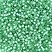 DBV691- 11/0 Semi Matte Silver Lined Mint Green Delica Beads-General Bead