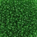 DBV746- 11/0 Matte Transparent Green Delica Beads-General Bead
