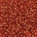 DBV777- 11/0 Dyed Transparent Matte Pumpkin Delica Beads-General Bead