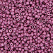 DBV800- 11/0 Dyed Opaque Matte Old Rose Delica Beads-General Bead