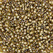 DBV909- 11/0 Shimmering Brass Lined Crystal Delica Beads-General Bead