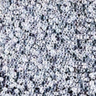 15/0 Crystal AB Miyuki Seed Bead (250 Gm) #250