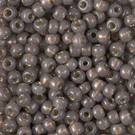 6/0 Duracoat Silver Lined Dyed Taupe Miyuki Seed Bead (250 Gm) #4250