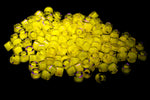 DB2032- 10/0 Luminous Sun Glow Miyuki Delica Beads (50 Gm, 250 Gm)