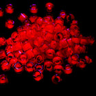 DB2051- 11/0 Luminous Poppy Red Miyuki Delica Beads (50 Gm, 250 Gm)