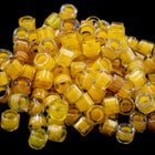 DB2061- 11/0 Luminous Mix #1 Miyuki Delica Beads (50 Gm, 250 Gm)