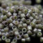 DB2365- 11/0 Duracoat Opaque Dyed Taupe Miyuki Delica Beads (50 Gm, 250 Gm)
