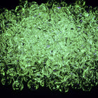 8/0 Crystal/Peridot Glow in the Dark Toho Seed Bead #JZP001