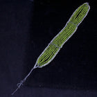 160mm Medium Green Antique French Beaded Leaf-General Bead