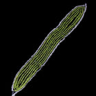 160mm Medium Green Antique French Beaded Leaf-General Bead