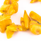 24" Baltic Butterscotch Amber Chip Strand-General Bead