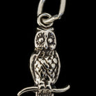 16mm Sterling Silver Owl on a Branch Charm #BSS041-General Bead