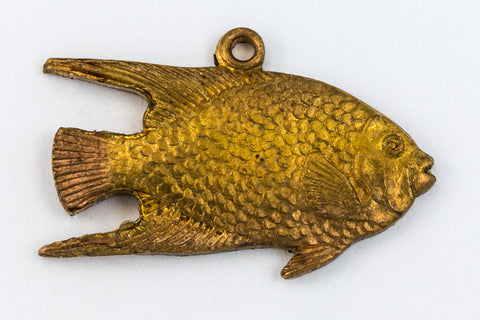 19mm Raw Brass Tropical Fish Charm (2 Pcs) #CHA164-General Bead