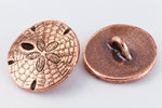 17mm Antique Copper TierraCast Sand Dollar Button (15 Pcs) #CK644-General Bead