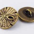 17mm Antique Brass TierraCast Sand Dollar Button (15 Pcs) #CK644-General Bead