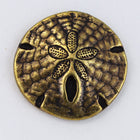 17mm Antique Brass TierraCast Sand Dollar Button (15 Pcs) #CK644-General Bead