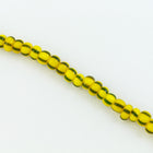 6/0 Yellow with Green Stripe Czech Seed Bead (20 Gm, 1/2 Kilo) #CSB009