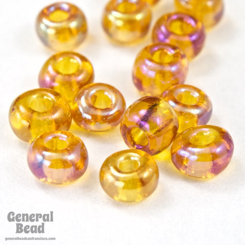 6/0 Topaz Iris Seed Bead (40 Gm, 1/2 Kilo) #CSB012-General Bead