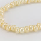 6/0 Ceylon Cream Seed Bead (40 Gm, 1/2 Kilo) #CSB055-General Bead
