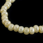 11/0 Ceylon Cream Czech Seed Bead (1/2 Kilo) Preciosa #46113