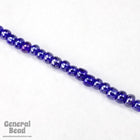 6/0 Luster Transparent Cobalt Seed Bead (40 Gm, 1/2 Kilo) #CSB067-General Bead
