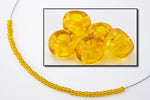 6/0 Transparent Topaz Seed Bead (40 Gm, 1/2 Kilo) #CSB091-General Bead