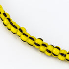 8/0 Yellow/Dark Brown Stripe Czech Seed Bead (1/2 Kilo) #BL513