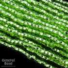 10/0 Silver Lined Lime Czech Seed Bead (10 Gm, Hank, 1/2 Kilo) #CSC038-General Bead