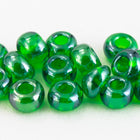 11/0 Luster Transparent Fern Green Czech Seed Bead (10 Gm, Hank, 1/2 Kilo) #CSG346-General Bead