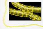 DBV1301- 11/0 Dyed Transparent Light Yellow Delica Beads-General Bead