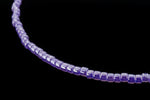 DB249- 10/0 Violet Pearl Miyuki Delica Beads (50 Gm, 250 Gm)