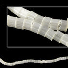 DBV672- 11/0 Satin Eggshell Delica Beads-General Bead