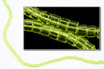 DBV712- 11/0 Transparent Neon Green Delica Beads-General Bead