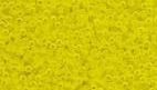 DBV743- 11/0 Matte Transparent Yellow Delica Beads-General Bead