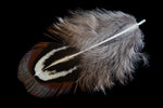 3” Brown and Gray Pheasant Body Feather (2 Pcs) #FEA002-General Bead