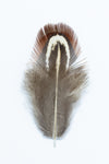 3” Brown and Gray Pheasant Body Feather (2 Pcs) #FEA002-General Bead